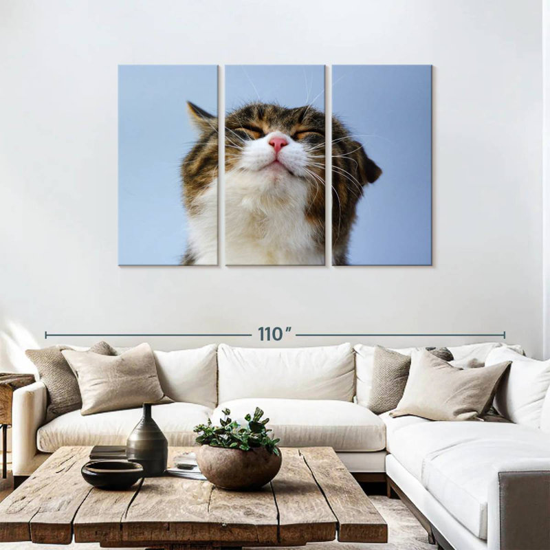 Chat raflé Brampt, H 48 po x l 74 po