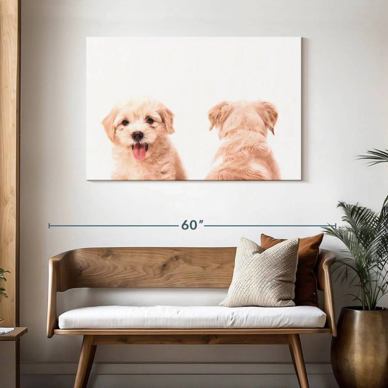 Portrait d'un chiot Brampt, H 30 po x l 45 po