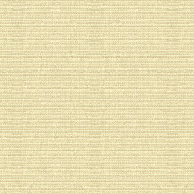Texture Fabric