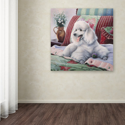 « white caniche », reproduction d’impression sur toile tendue