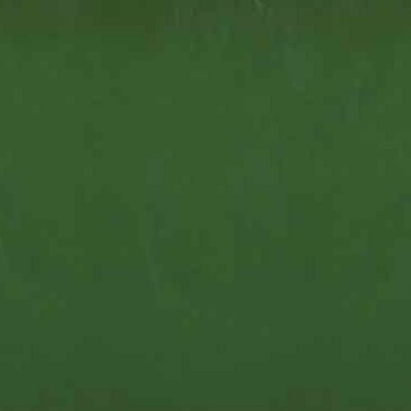 Solid Wood Executive Desk, Green