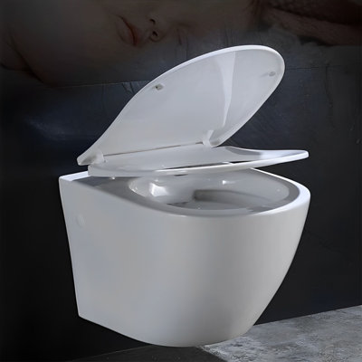 Combo Set- Wall Hung Toilet Dual Flush Completed Cistern Tank Carrier , Bowl And Actuator Plate Completed Set