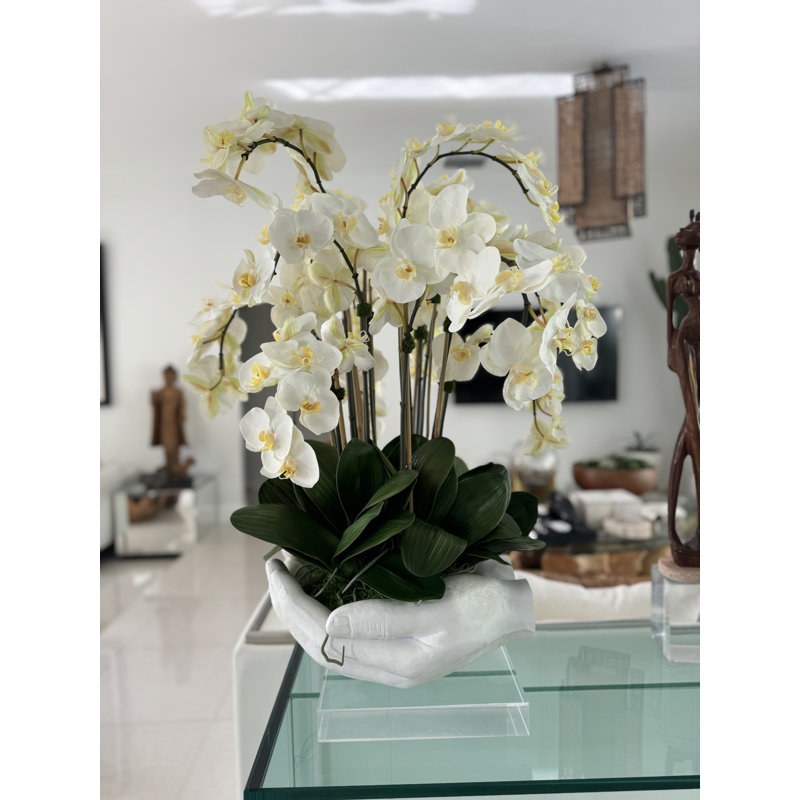 Orchid Floral Arrangement in Vase, White