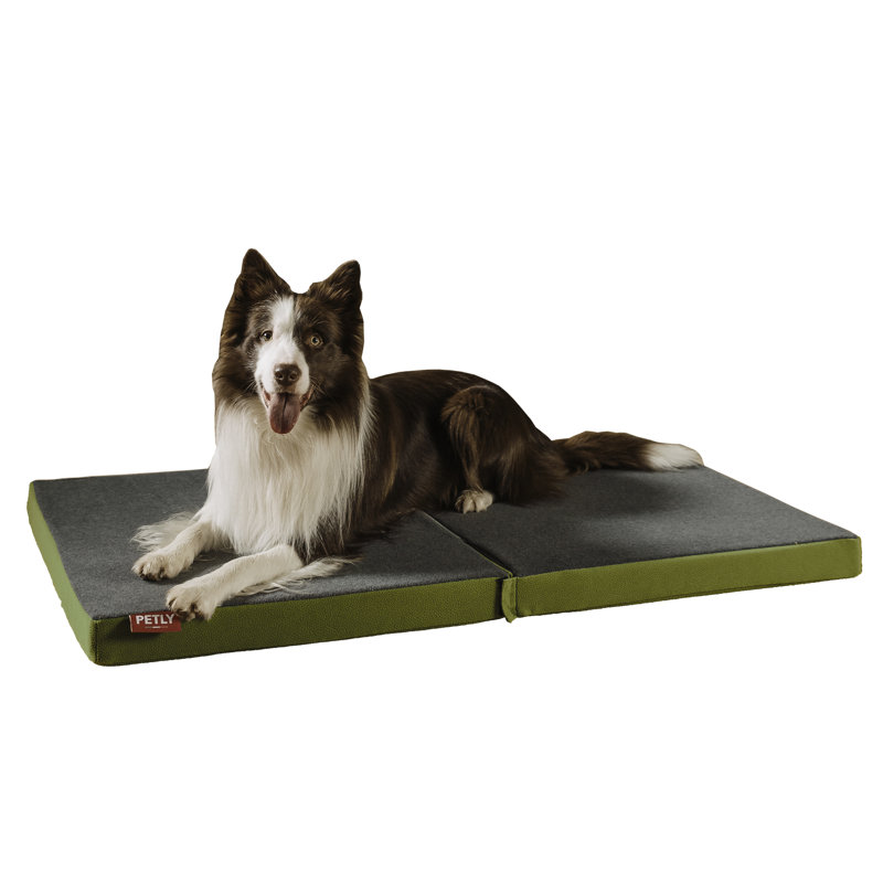 Orthopedic Pet Bed, Green