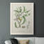 Antique Ammond Botanical IV, reproduction d'art sur toile-88381029-88381030
