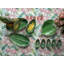 Leaves Banana Leaf Sculpture-33695622