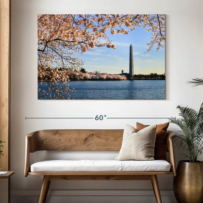 Cerisiers Lilie à Washington, H 34 po x l 51 po
