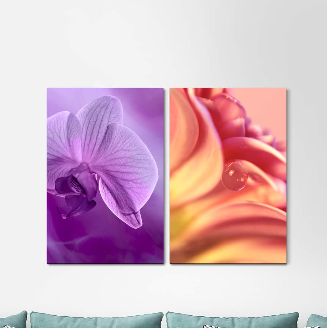 2-tlg. Leinwandbilder-Set - Grafikdruck „Orchid Flowers Blossoms Water Drops Soft Delicate”