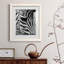 Zebra Colt - Photographie avec cadre photo-1635737486-1635583822