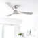 52" Bronislova Propeller Ceiling Fan with Remote Control