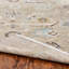 Francess Hand Knotted Oriental Area Rug in Tan-404977082