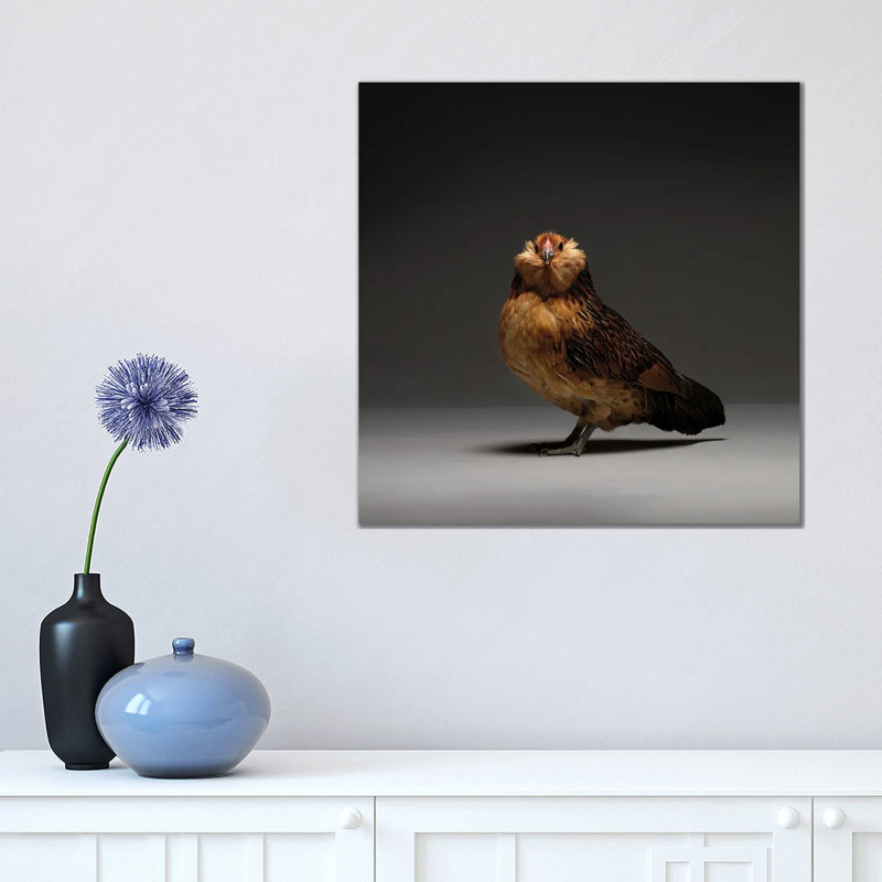 Barbu D'Anvers - Wrapped Canvas Print, 45.72 cm H x 45.72 cm W x 1.91 cm D