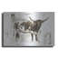 Luxe métal Art «Longhorn Study I» par Ethan Harper, «Longhorn Study I» par Ethan Harper