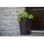 Valencia Planter-1610035897-1610035898
