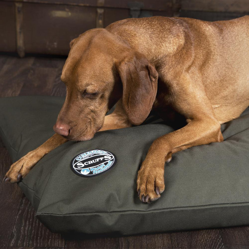 Expedition Orthopedic Polyester Pet Bed, 9cm H x 80cm W x 120cm D, Olive