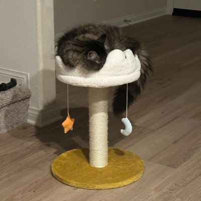 Cat Scratching Post with Bed Cat Tree Tower for Indoor Cats Natural Sisal Cat Scratcher28