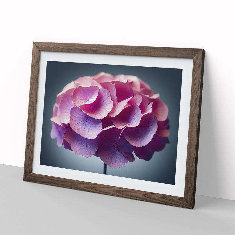 Pure Hydrangea Flowers - Single Picture Frame Print, 46cm H x 64cm W x 2cm D, Walnut