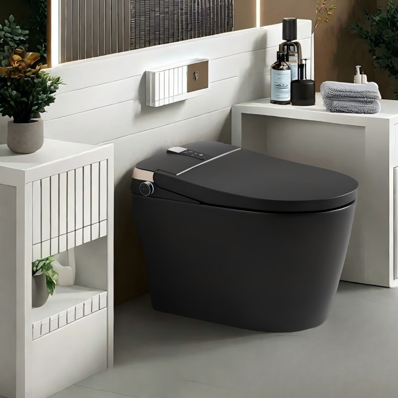 Matte Black Elongated One-Piece Smart Bidet Toilet with Dual Flush