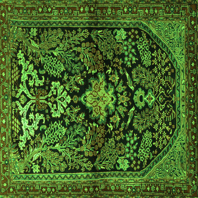 Washable Oriental Indoor Rug