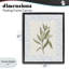 Cadre flottant avec feuilles et herbes fraîches, design par Diannart-368168579-368168639