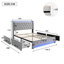 Metal Storage Bed