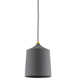 Megan 1 Light Pendant