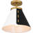 Danyall Semi Flush Mount