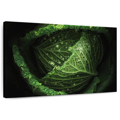 Yarlin Cabbage