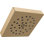 Multi Function Fixed Shower Head with H2Okinetic Technology