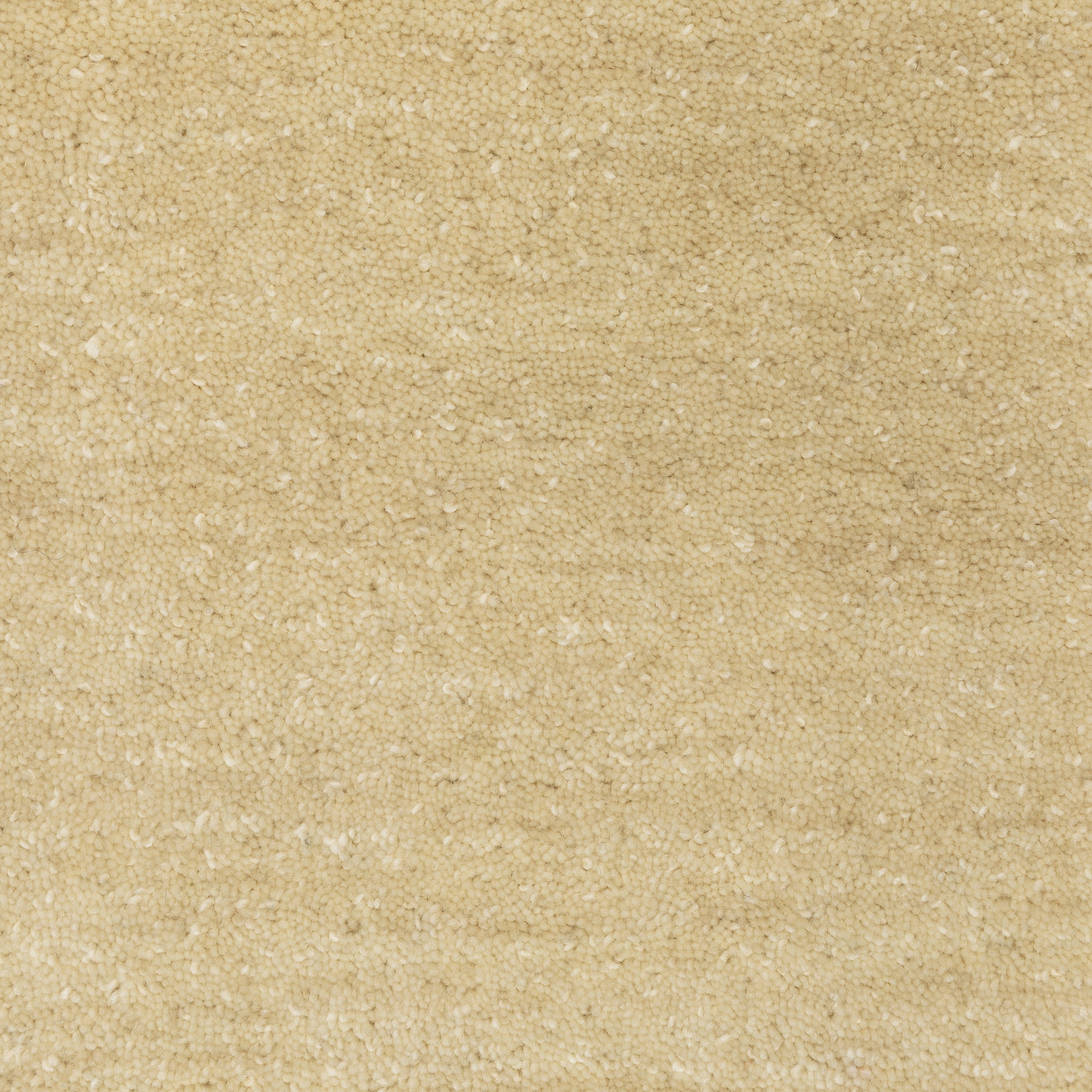 Yolandi Handmade Wool Beige Rug, Rectangle 10' x 13'