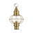 Aster Transparent Lantern Head-1309213533