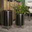 Mercana Pianta (Set of 2) Plant Stand