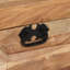 Kurth Solid Wood Storage Bench