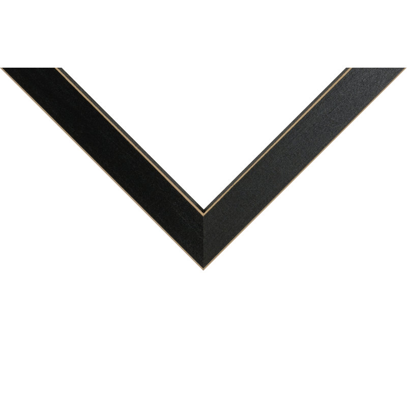 Cadre photo Cervantez, L 12 po x H 36 po, Noir