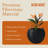 Kute Nest Indoor/Outdoor Fiberstone Globo Ball Planter - Tricorn Black 12"D (Opening 7.8")-114366456-114366458