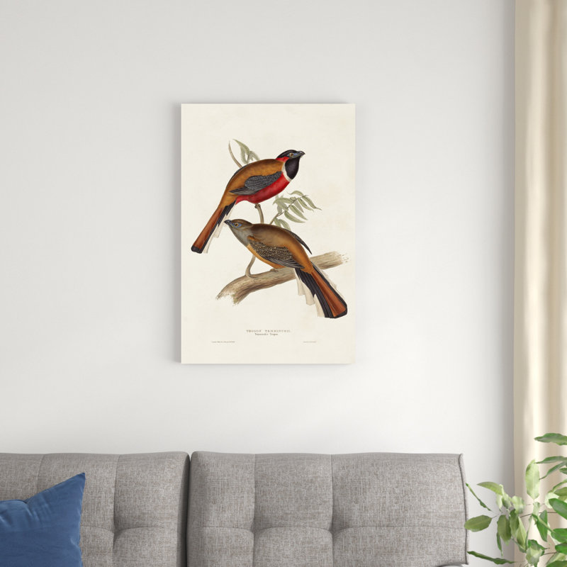 Elegant Trogons IV, H 30 po x l 20 po x P 1,25 po