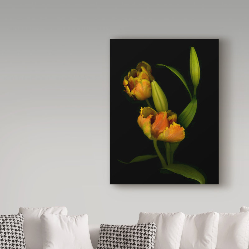 Dosta «Tulips 1», impression sur toile tendue, H 24 po x l 18 po x P 2 po