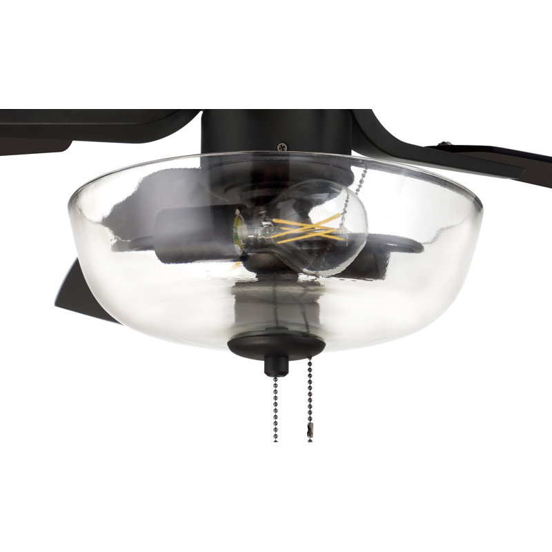 Pro Plus 101 Clear Bowl Light Kit 52'' Ceiling Fan with Light Kit, Black/Espresso