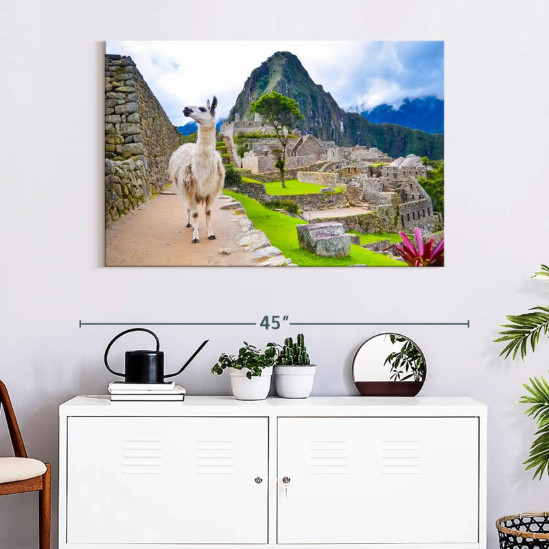 Brampt Peru Llama, 26" H x 39" W