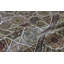 Wool Oriental Area Rug-1924927348