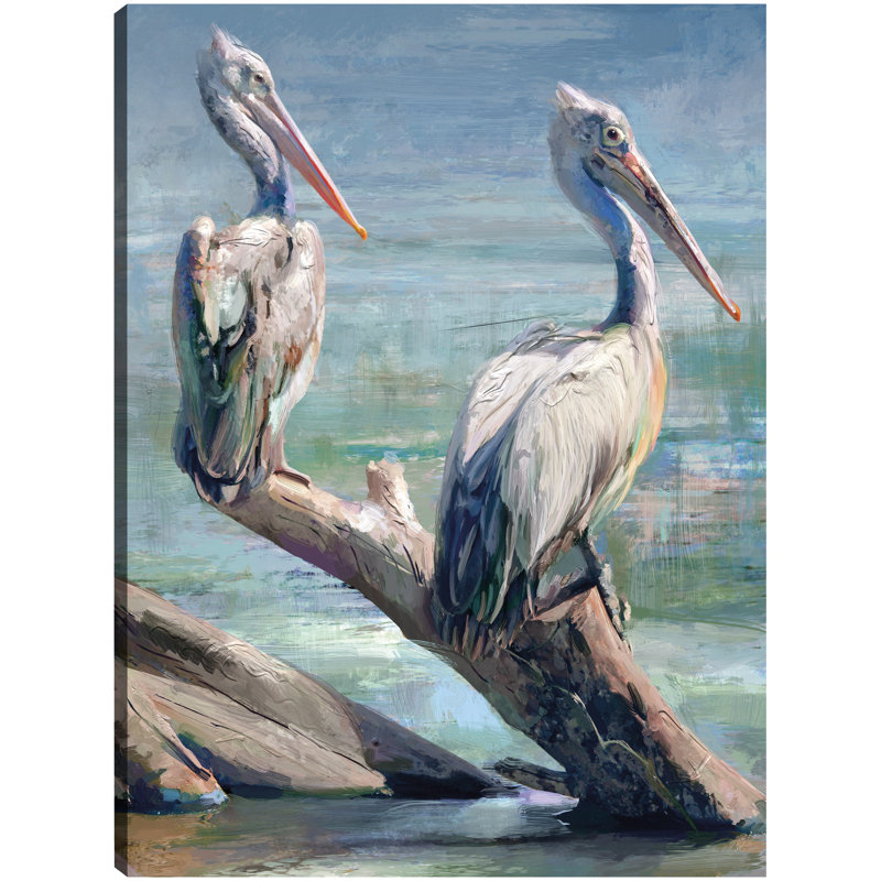 Large Coastal Pelican Pair Canvas Art Print