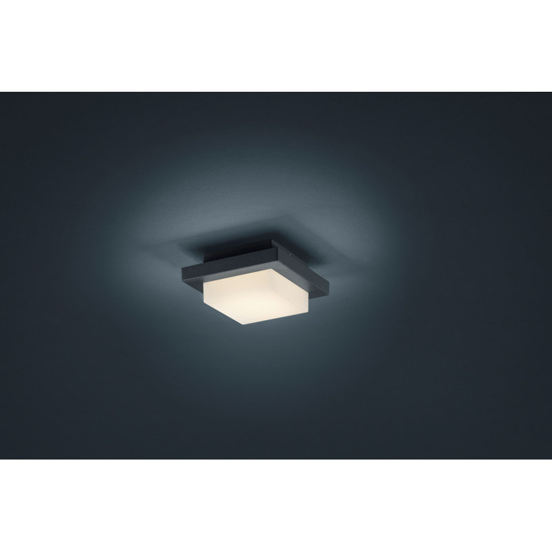 Adalia LED Wall Light, Dark Gray