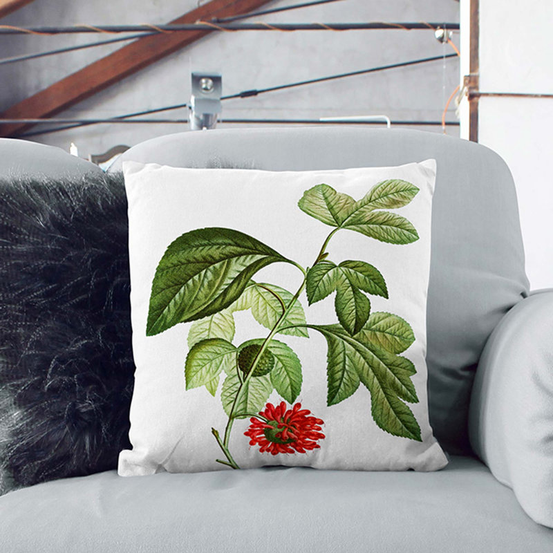 Square Throw Cushion, 55cm H x 55cm W x 20cm D, Black