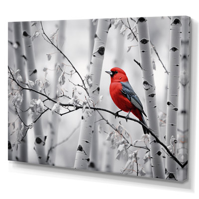 Martinella, oiseau rouge-gris en forêt II - impression