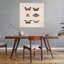 Art mural, papillon, papillon, papillon-1706465688