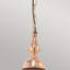 Fajardo Outdoor Hanging Lantern