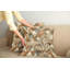 429414_Ambesonne, housse de coussin décoratif Monstera, paquet de 2 style scandinave Boho-97810160