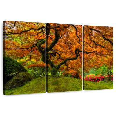 Harnek Mossy Japanese Maple