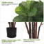 Faux figuier figuier, plante ficus lyrata en pot avec 72 feuilles de violon décoratives-602134452