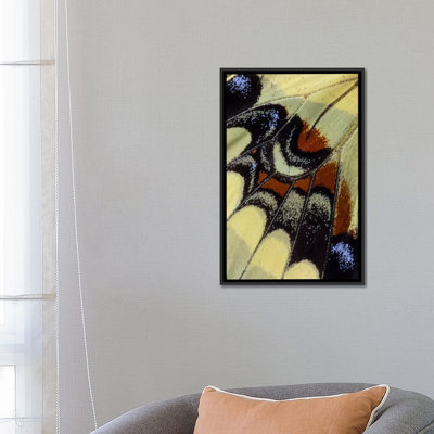 « papillon macro-photographie xxx », reproduction de photo sur toile